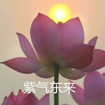暴击联盟之猎妖师手游下载